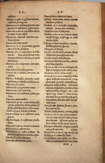 lexicon-graecum-latin2